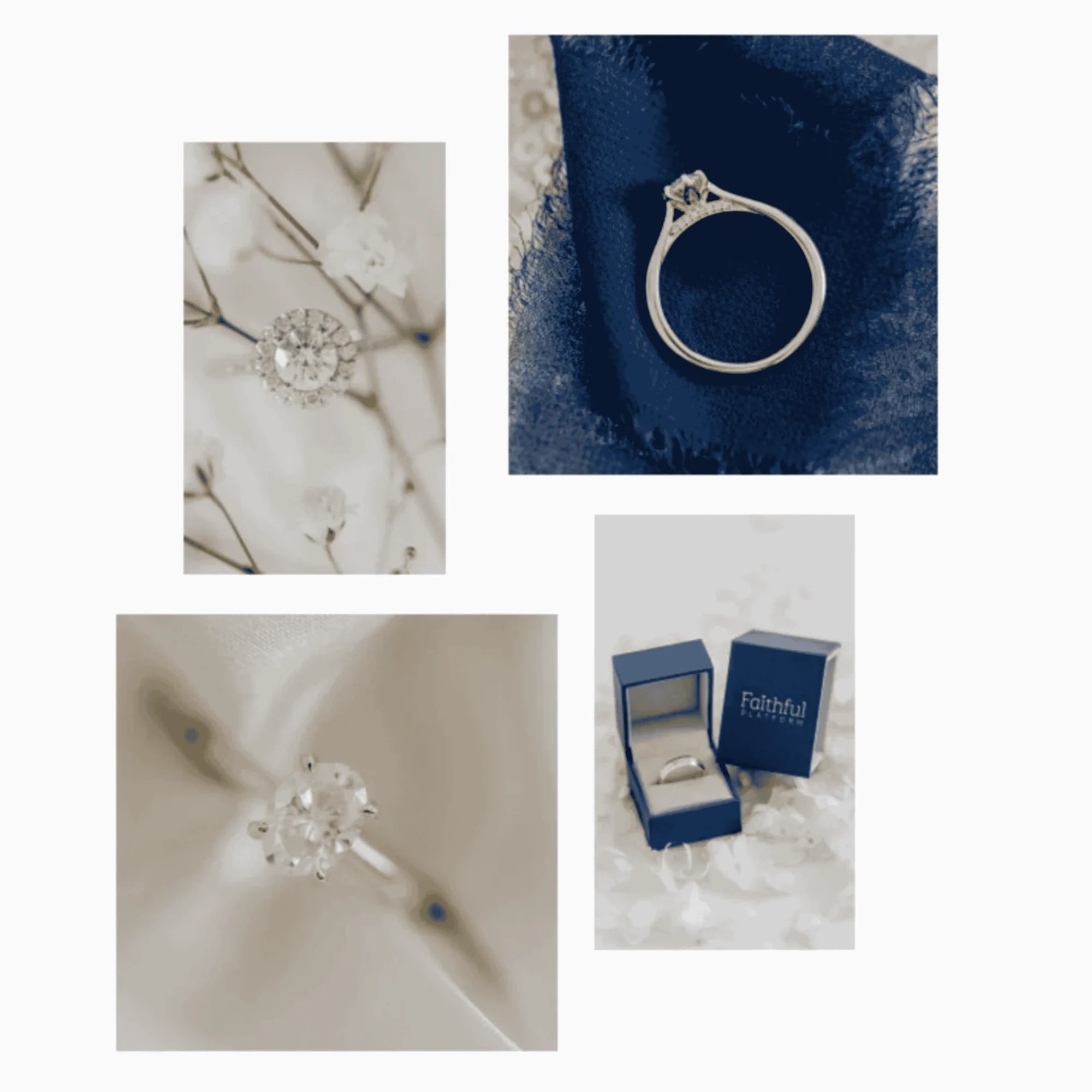 Various Faithful Platform Rings